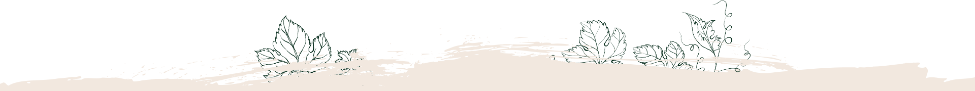 website separator